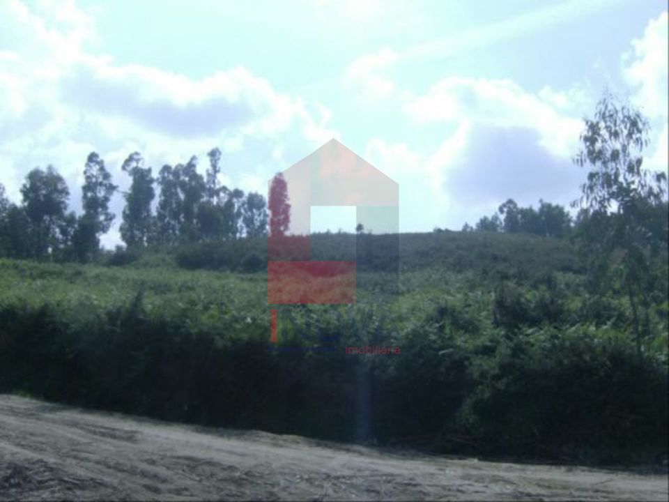 Helårsgrund i Vila Verde, Braga - foto 2