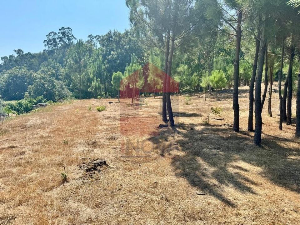 Helårsgrund i Vila Verde, Braga - foto 4