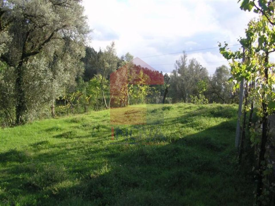 Helårsgrund i Vila Verde, Braga - foto 3