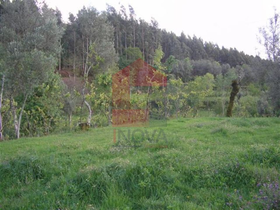 Helårsgrund i Vila Verde, Braga - foto 5