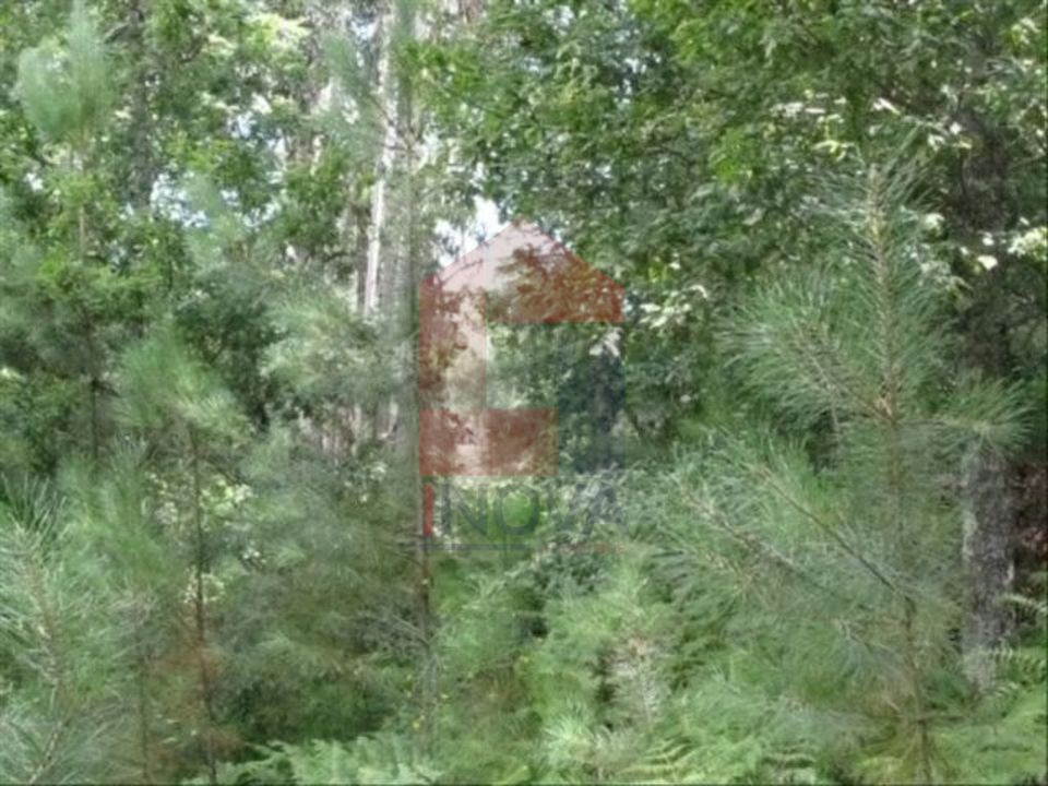 Helårsgrund i Vila Verde, Braga - foto 1