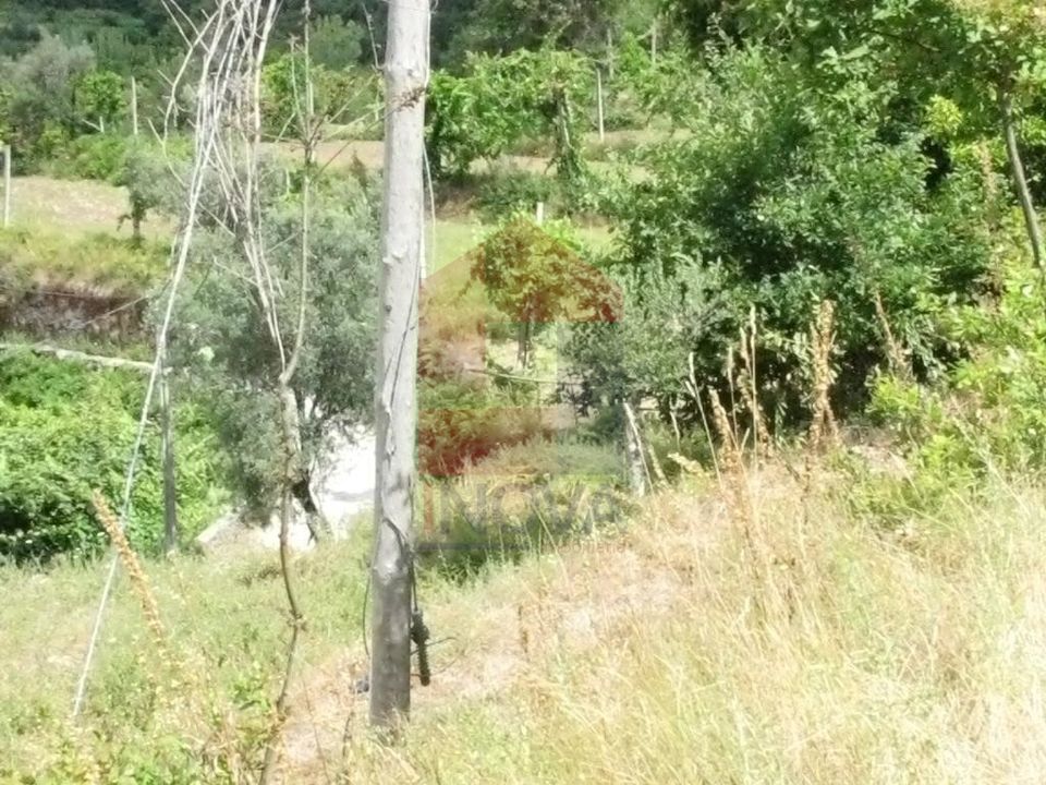 Helårsgrund i Vila Verde, Braga - foto 2