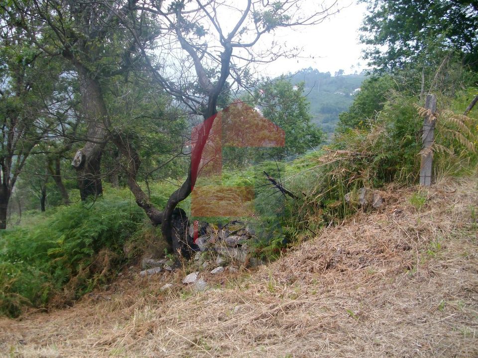 Helårsgrund i Vila Verde, Braga - foto 2