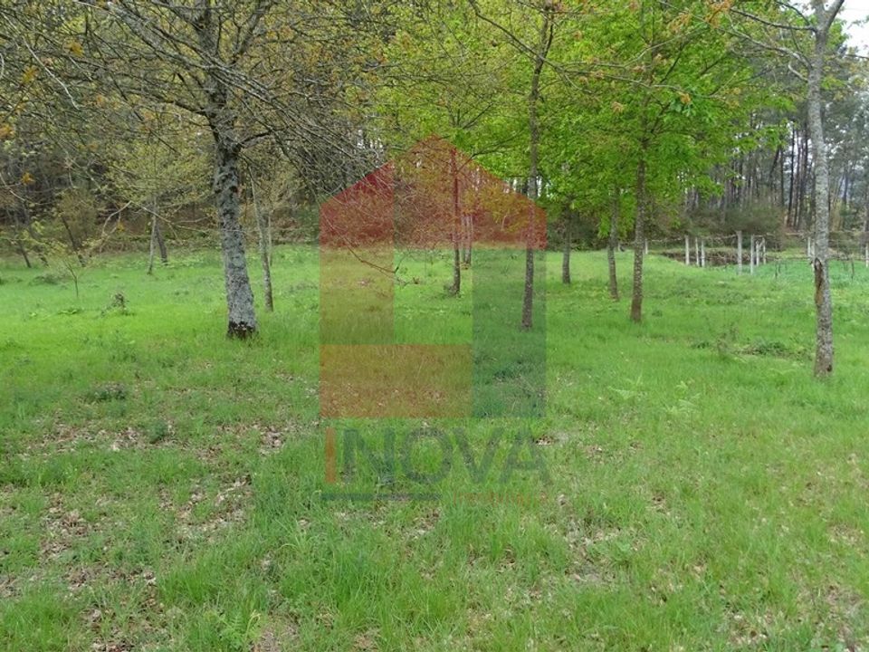 Helårsgrund i Vila Verde, Braga - foto 1