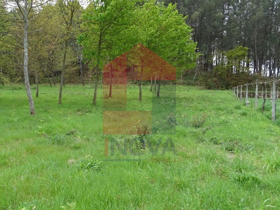 Helårsgrund i Vila Verde, Braga - foto 2