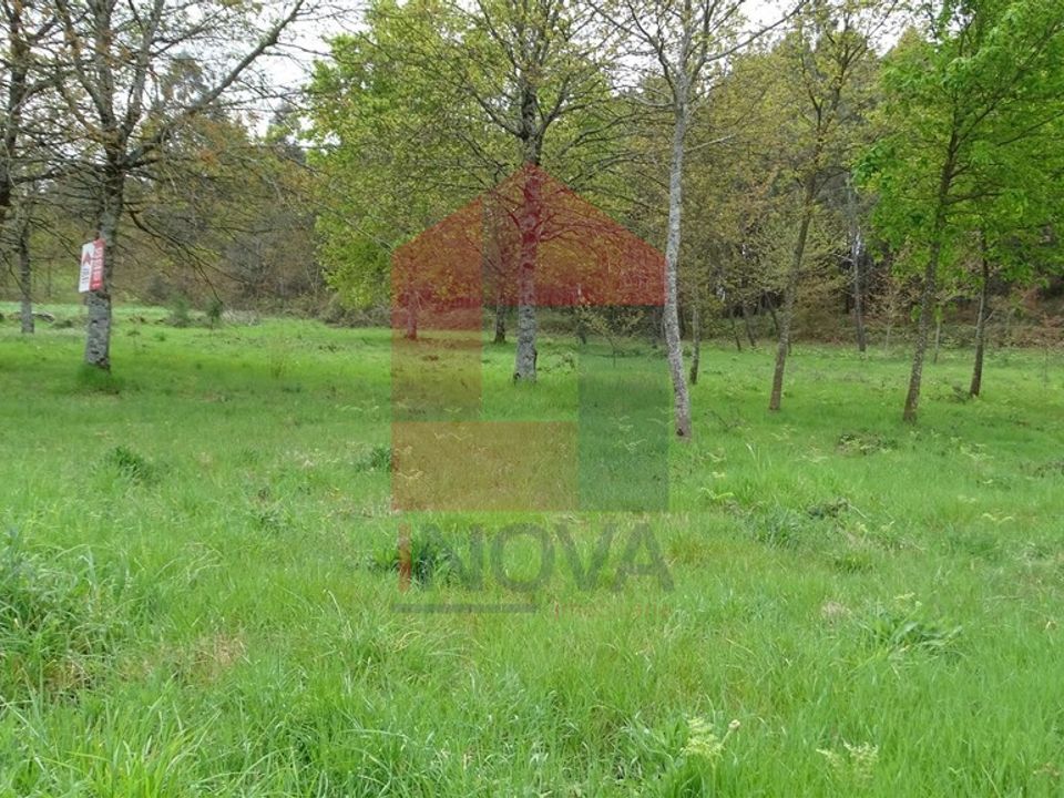 Helårsgrund i Vila Verde, Braga - foto 3