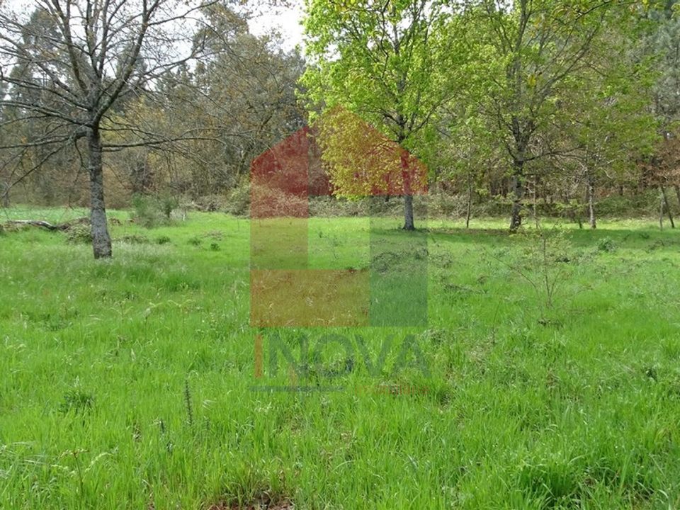 Helårsgrund i Vila Verde, Braga - foto 5