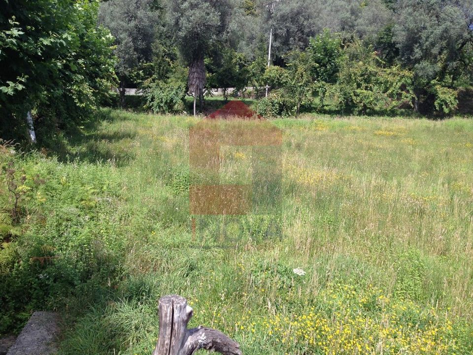 Helårsgrund i Vila Verde, Braga - foto 4