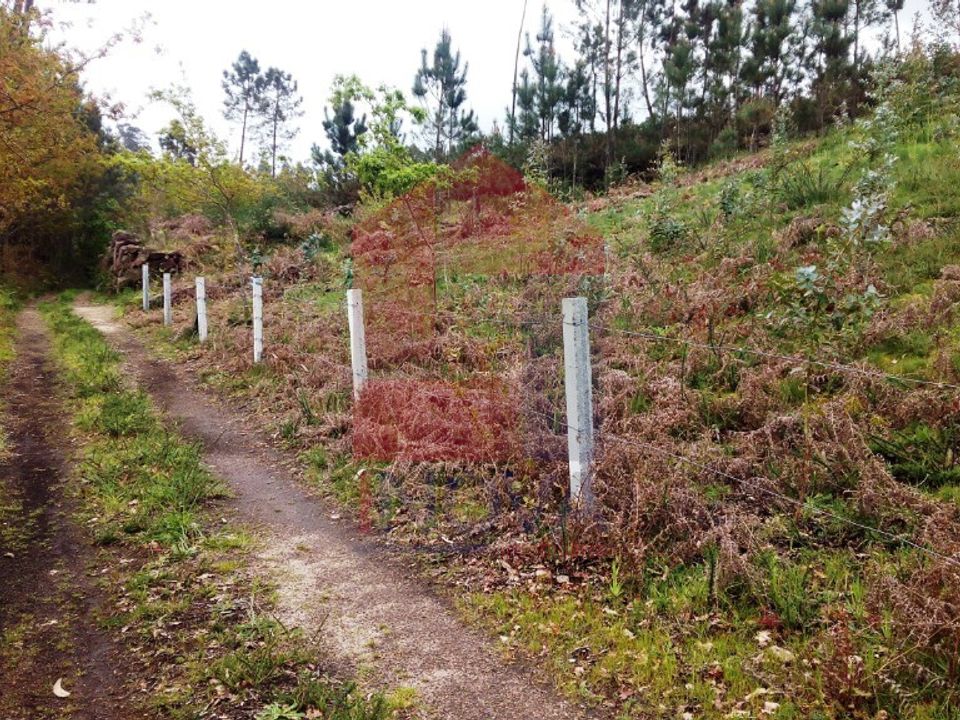 Helårsgrund i Vila Verde, Braga - foto 1