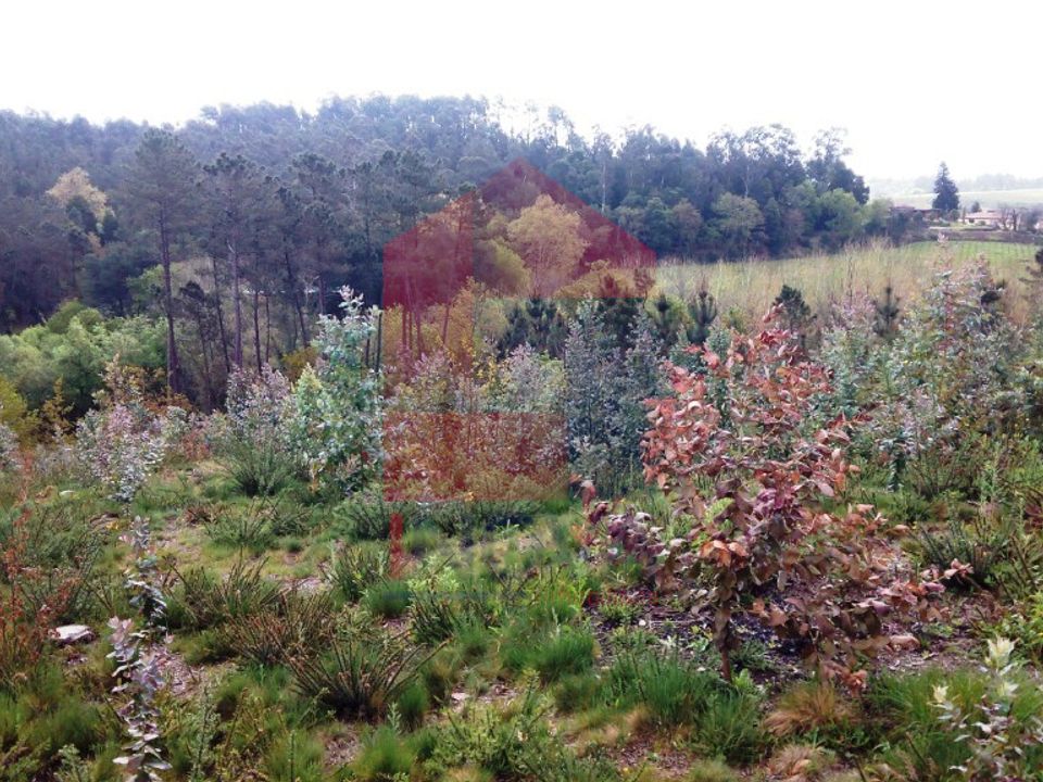 Helårsgrund i Vila Verde, Braga - foto 4