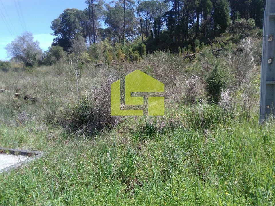 Helårsgrund i Coimbra, Coimbra - foto 2