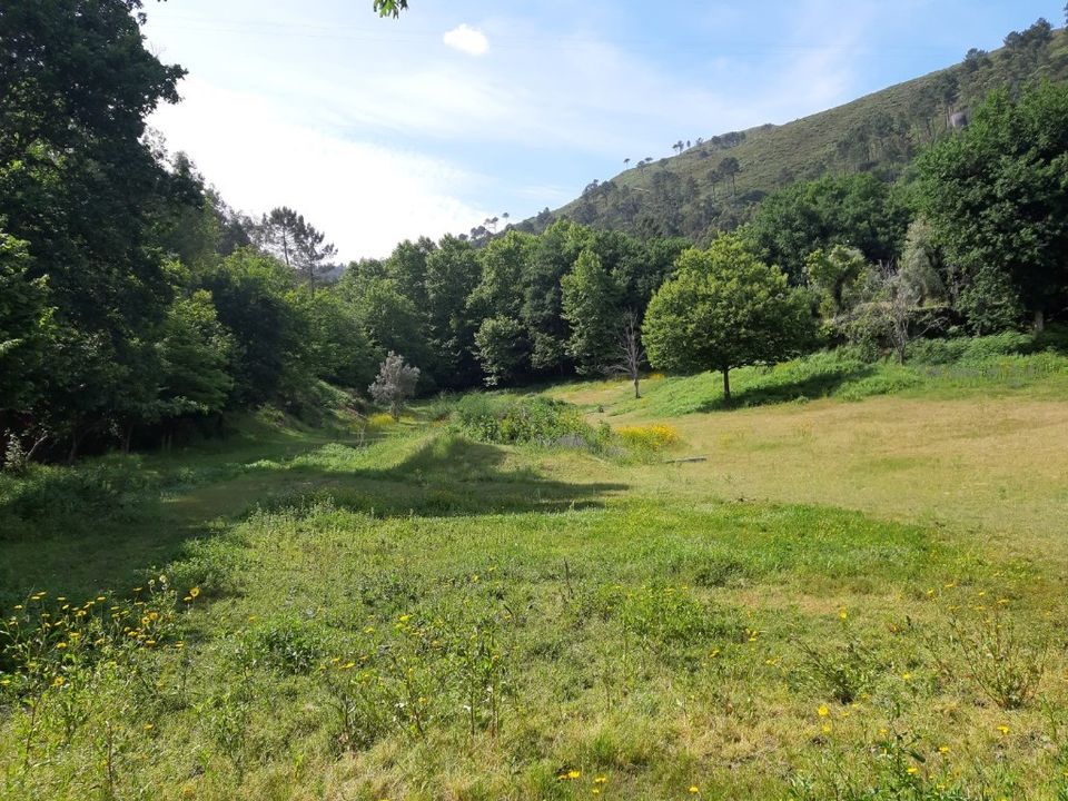 Helårsgrund i Terras de Bouro, Braga - foto 5