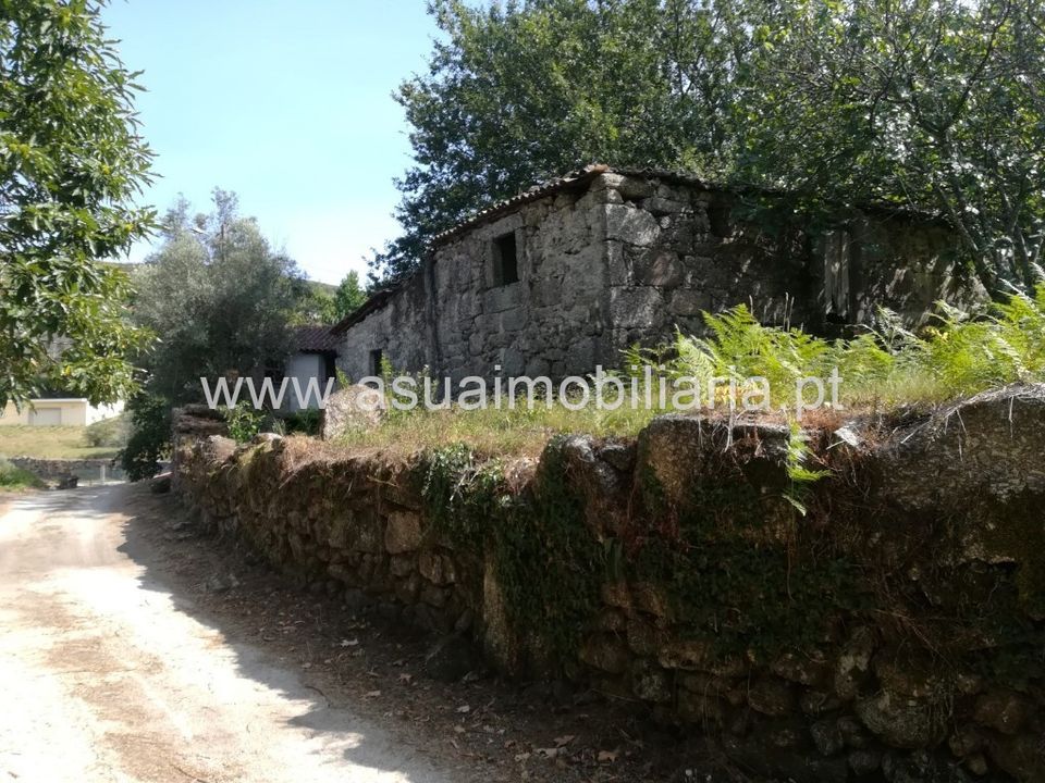 Farm i Povoa de Lanhoso, Braga - foto 3