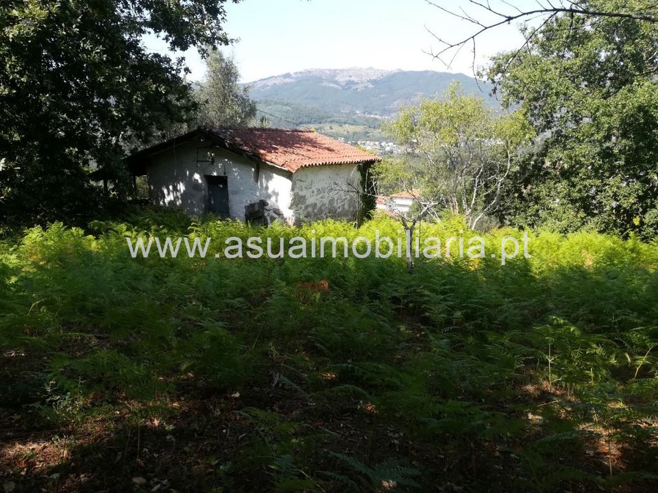 Farm i Povoa de Lanhoso, Braga - foto 5