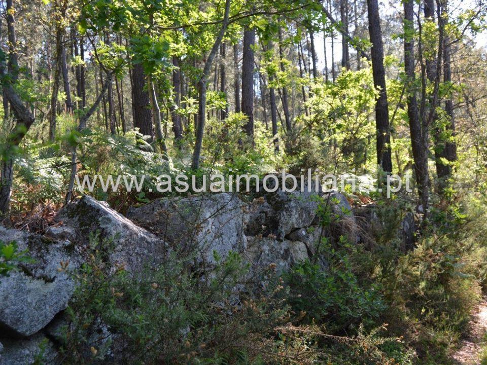 Helårsgrund i Amares, Braga - foto 2