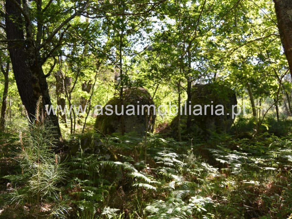 Helårsgrund i Amares, Braga - foto 3