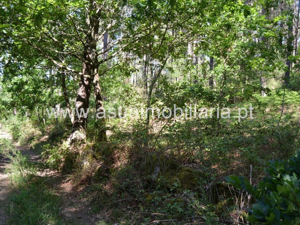 Helårsgrund i Amares, Braga - foto 4