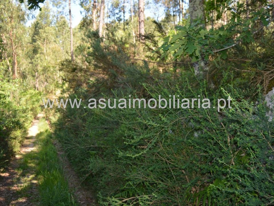 Helårsgrund i Amares, Braga - foto 5