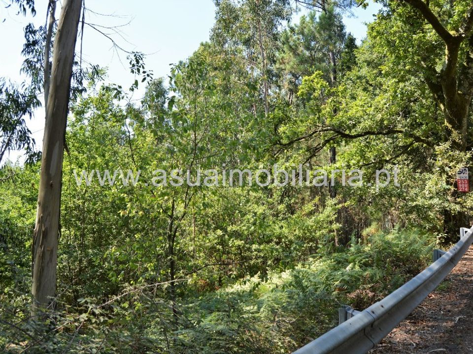 Helårsgrund i Amares, Braga - foto 4