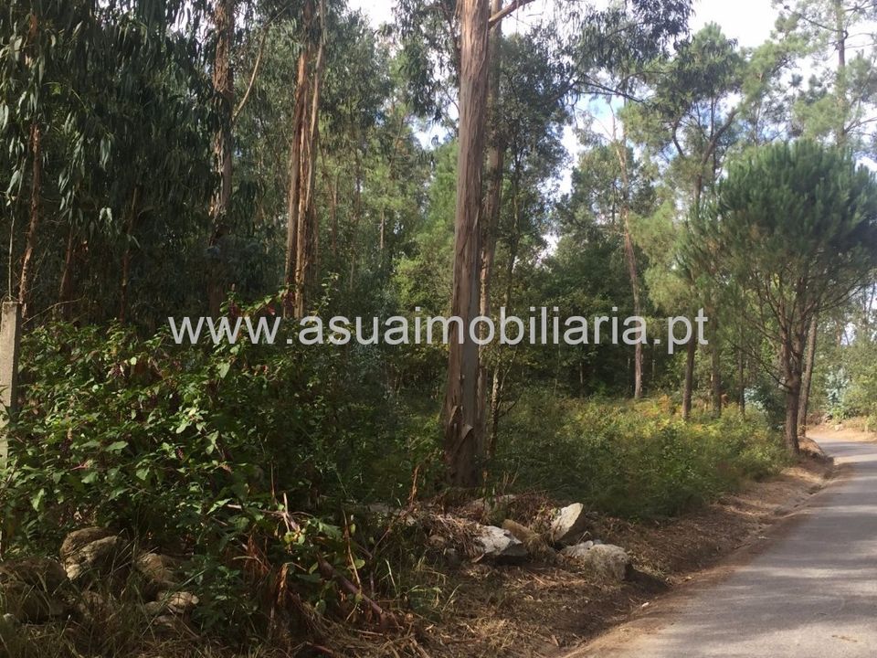 Helårsgrund i Amares, Braga - foto 3
