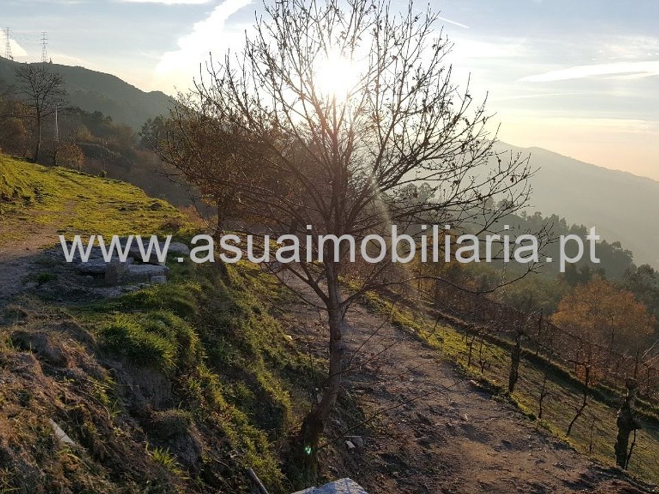 Helårsgrund i Vieira do Minho, Braga - foto 5