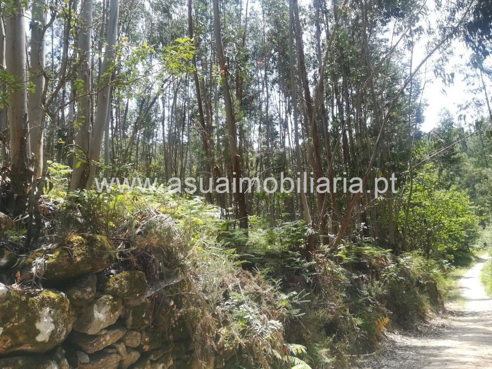 Helårsgrund i Amares, Braga - foto 1