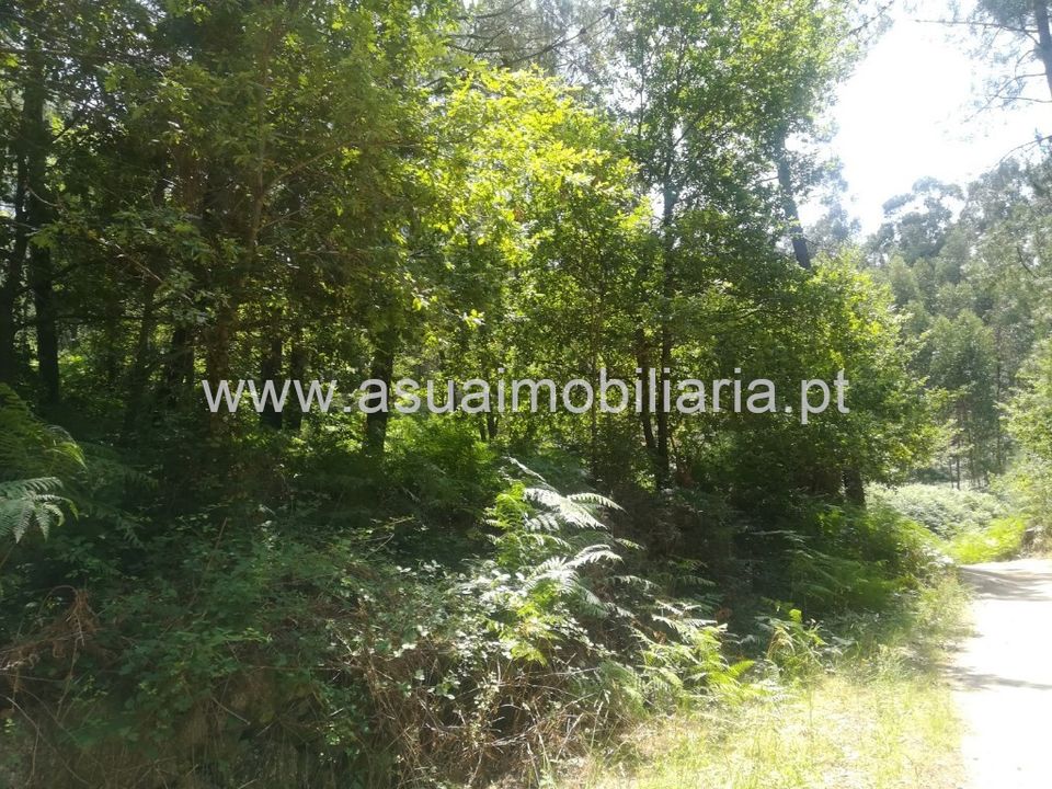 Helårsgrund i Amares, Braga - foto 2