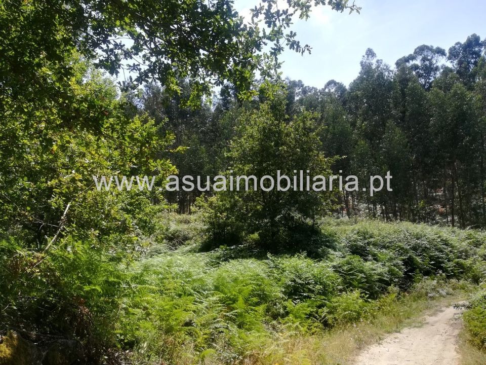 Helårsgrund i Amares, Braga - foto 3