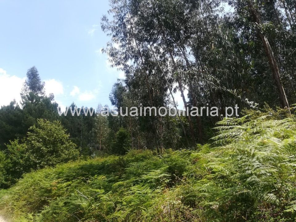 Helårsgrund i Amares, Braga - foto 5