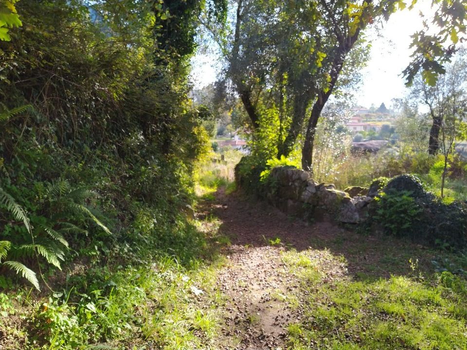 Helårsgrund i Amares, Braga - foto 5