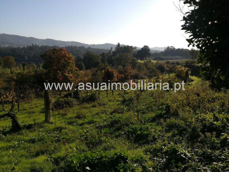 Helårsgrund i Amares, Braga - foto 5