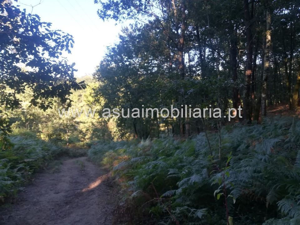 Helårsgrund i Amares, Braga - foto 4
