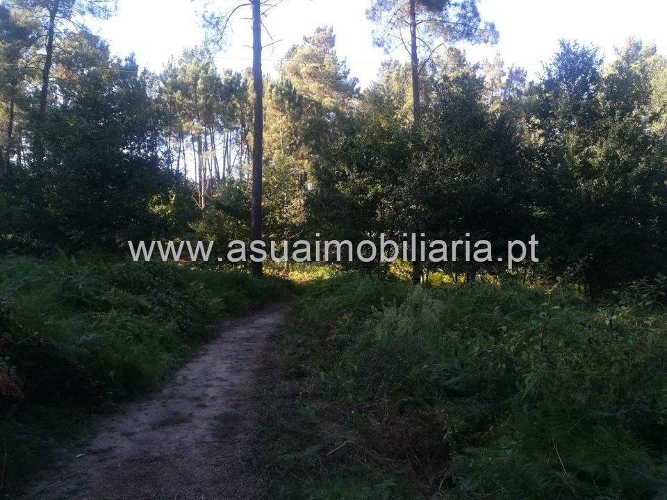 Helårsgrund i Amares, Braga - foto 5