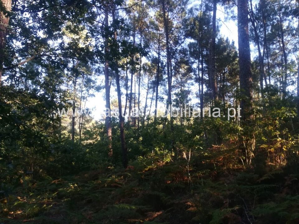 Helårsgrund i Amares, Braga - foto 3