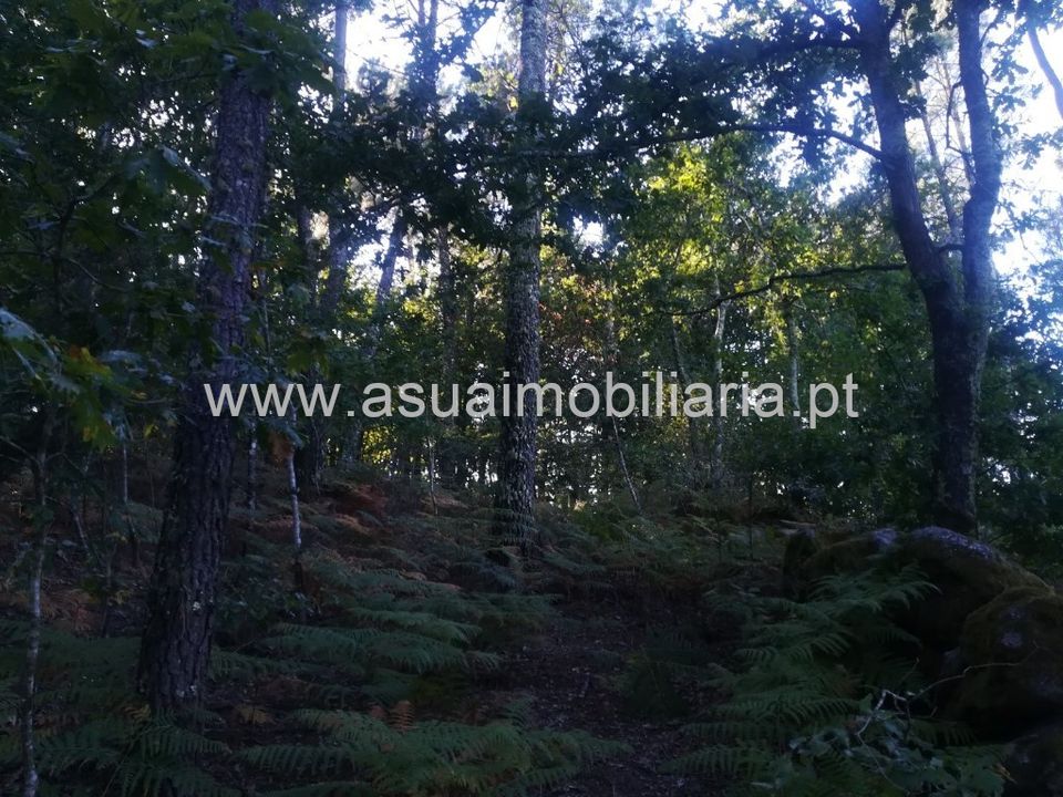 Helårsgrund i Amares, Braga - foto 4