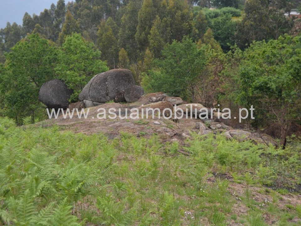 Helårsgrund i Vieira do Minho, Braga - foto 3