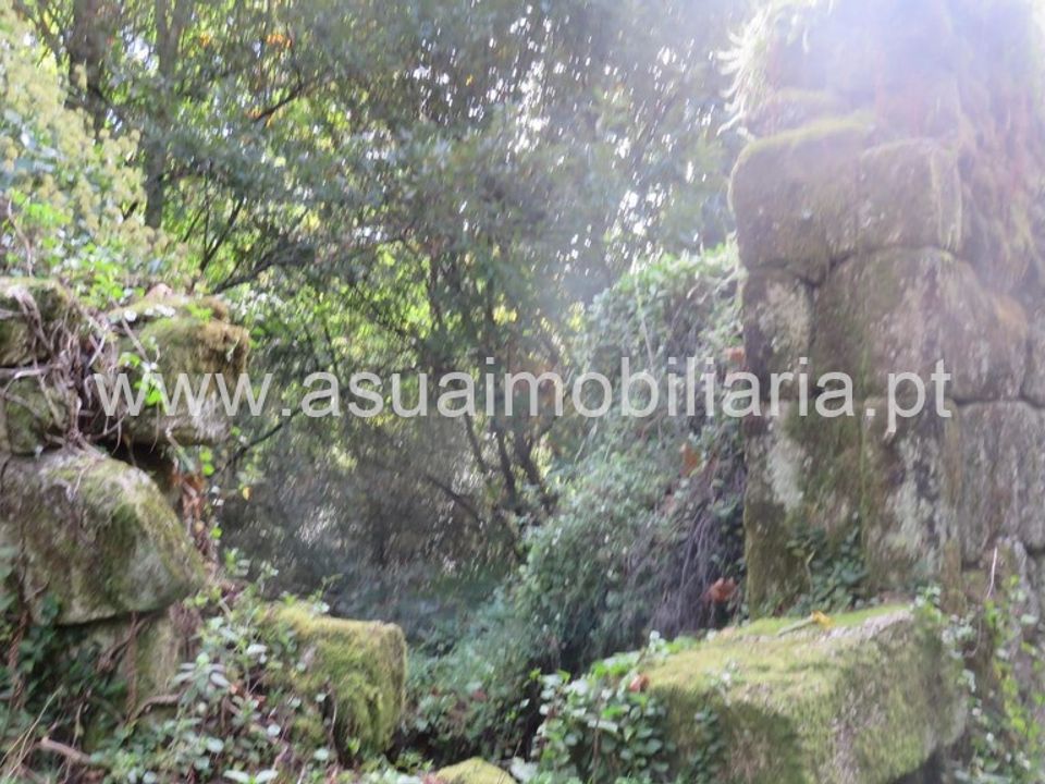 Helårsgrund i Amares, Braga - foto 4