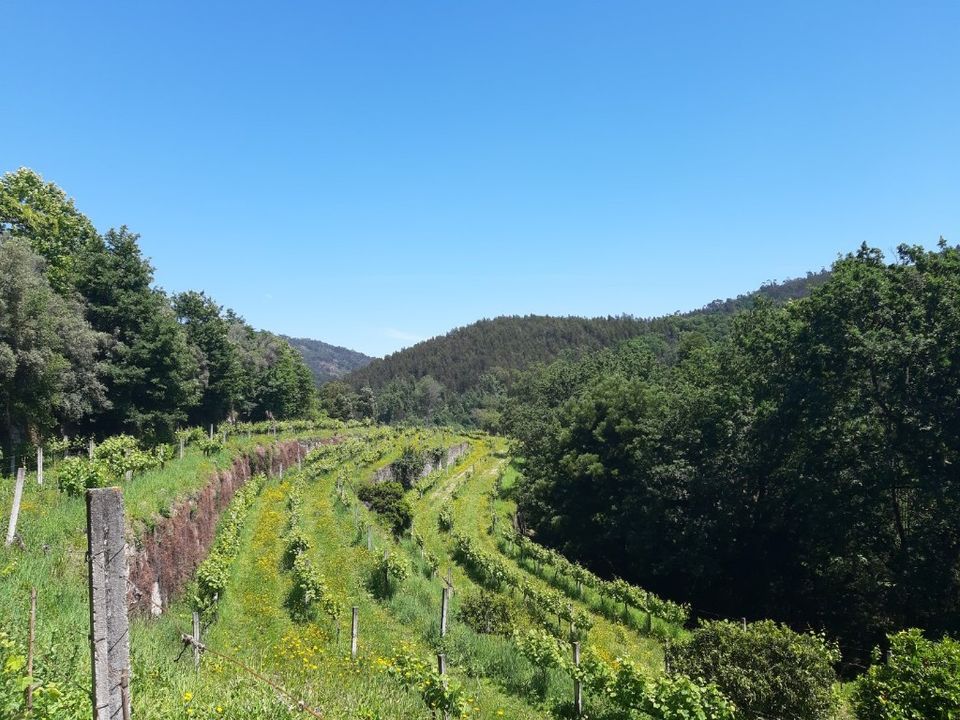 Helårsgrund i Amares, Braga - foto 1