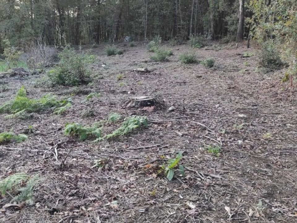 Helårsgrund i Amares, Braga - foto 1