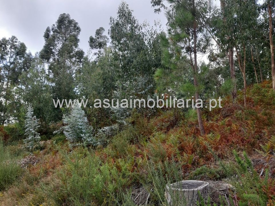 Helårsgrund i Amares, Braga - foto 1