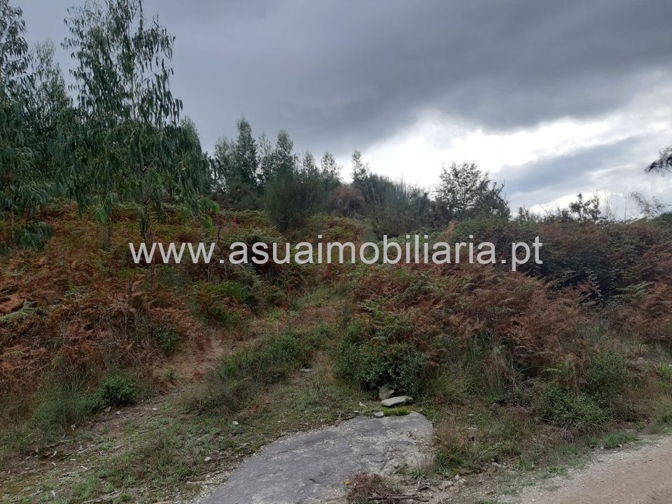 Helårsgrund i Amares, Braga - foto 2