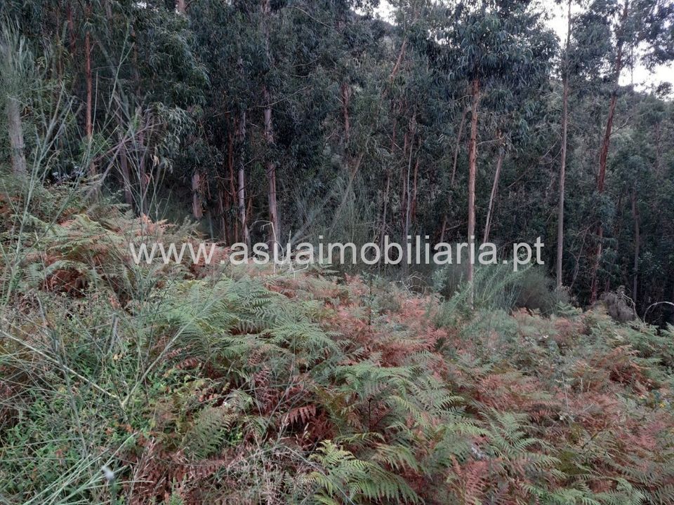 Helårsgrund i Amares, Braga - foto 4