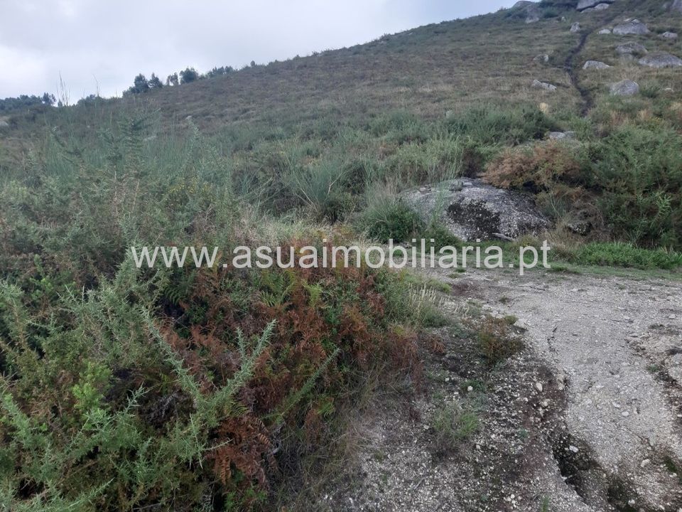 Helårsgrund i Amares, Braga - foto 5