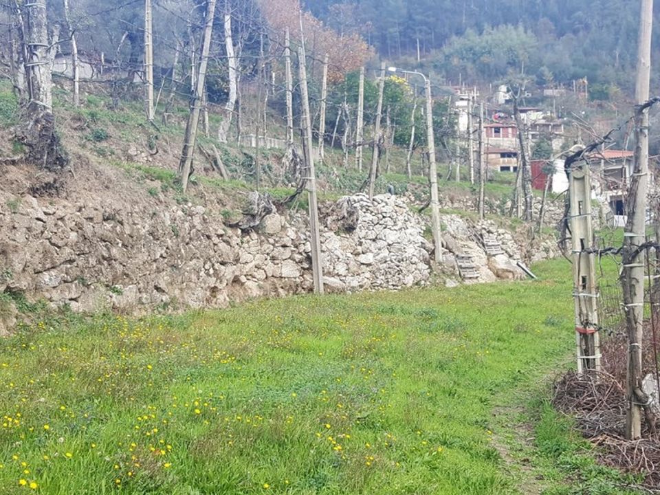 Helårsgrund i Terras de Bouro, Braga - foto 5