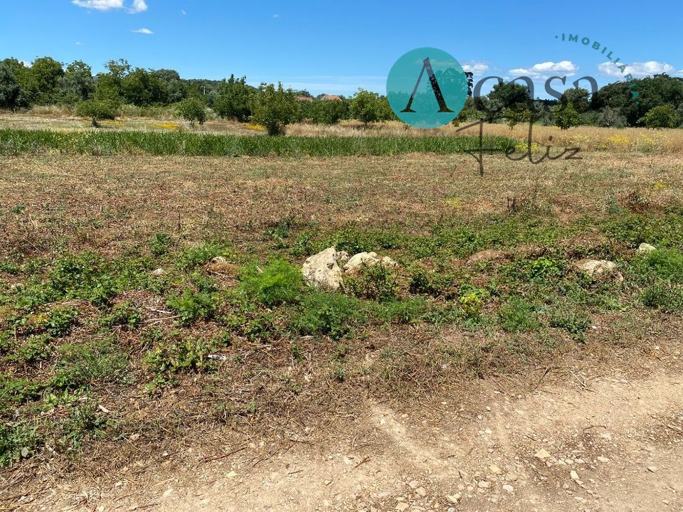 Helårsgrund i Ferreira do Zezere, Santarem - foto 5