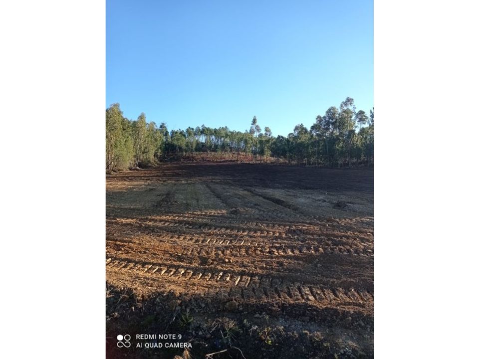 Grond in Macao, Santarem - foto 1