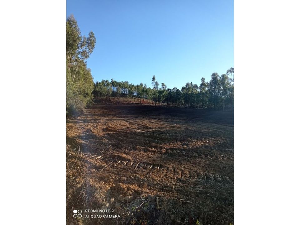 Grond in Macao, Santarem - foto 4