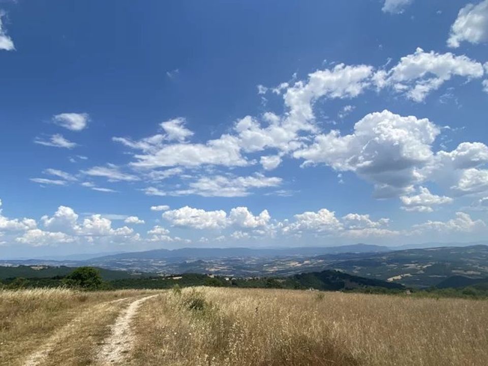 Landejendom i Todi, Perugia - foto 2