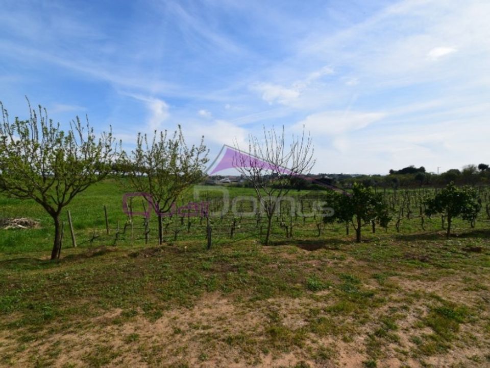 Helårsgrund i Torres Novas, Santarem - foto 2