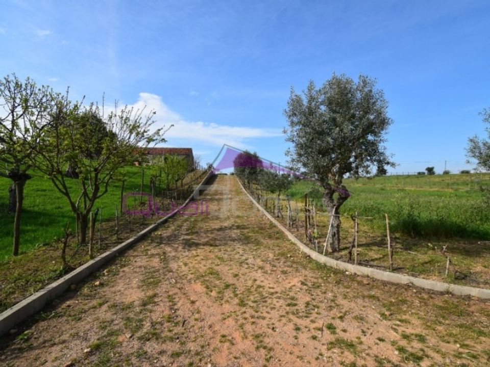 Helårsgrund i Torres Novas, Santarem - foto 3